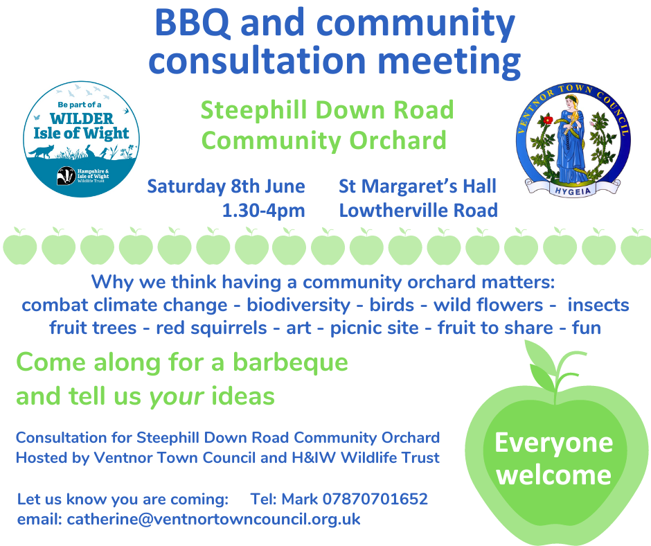 Community Consultation and BBQ Ventnor Town Council
